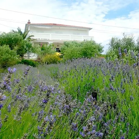 Lavanda *