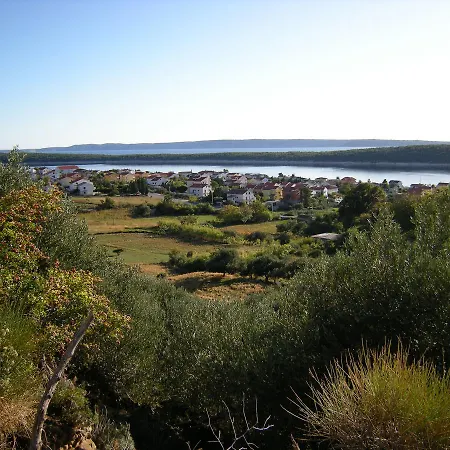 Lavanda Barbat na Rabu