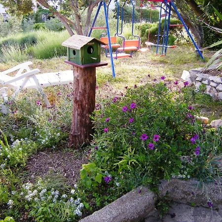 Lavanda Barbat na Rabu